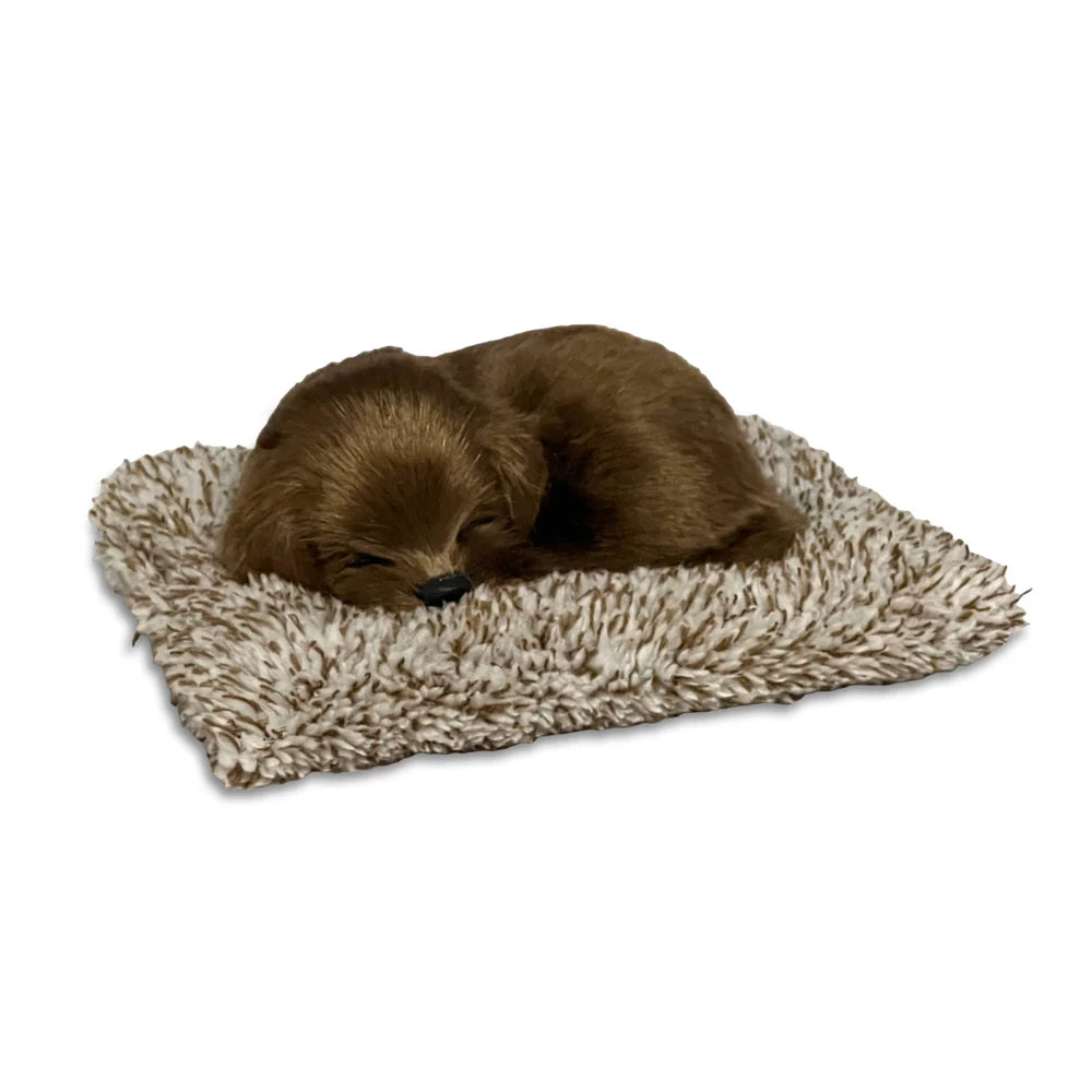 Perfect Petzzz Mini Chocolate Lab