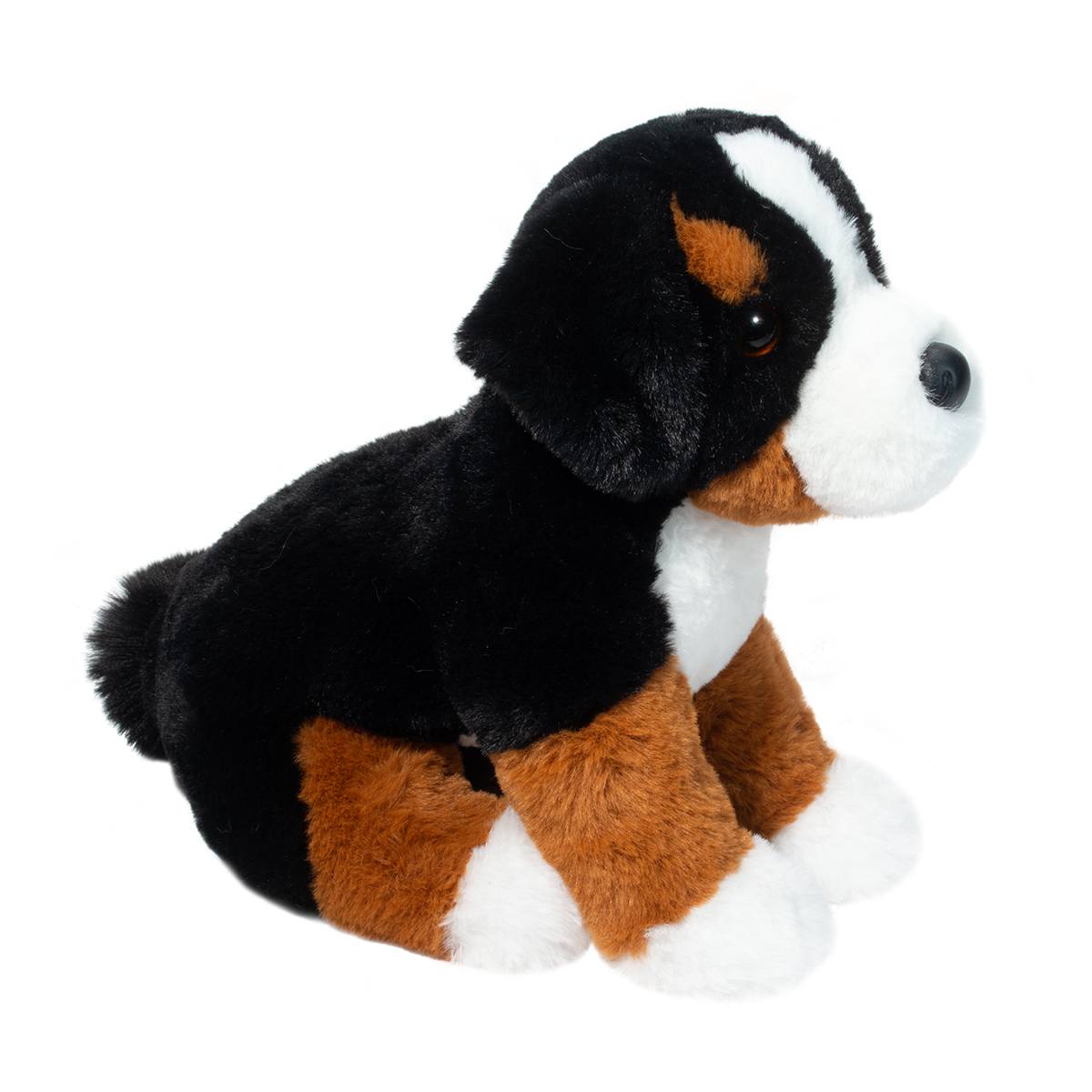 Bowie Dog Bernese Mountain Dog