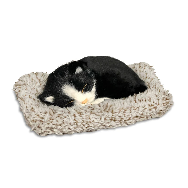 Perfect Petzzz Mini Black And White Shorthair Cat