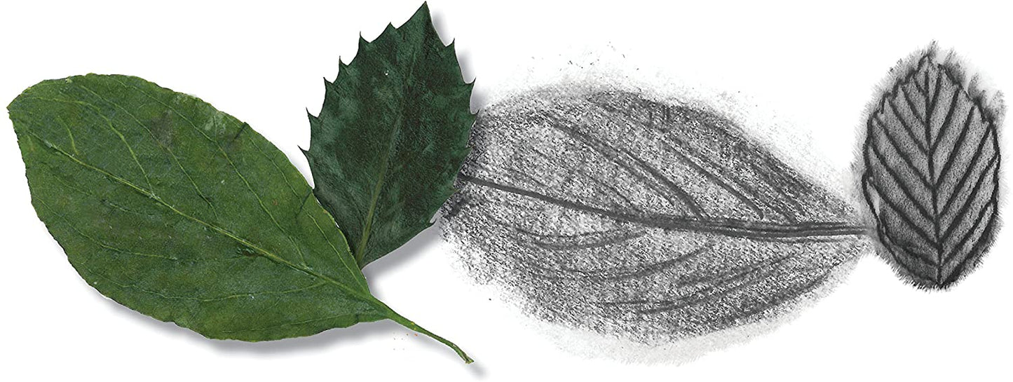 Do Art Drawing Sketching