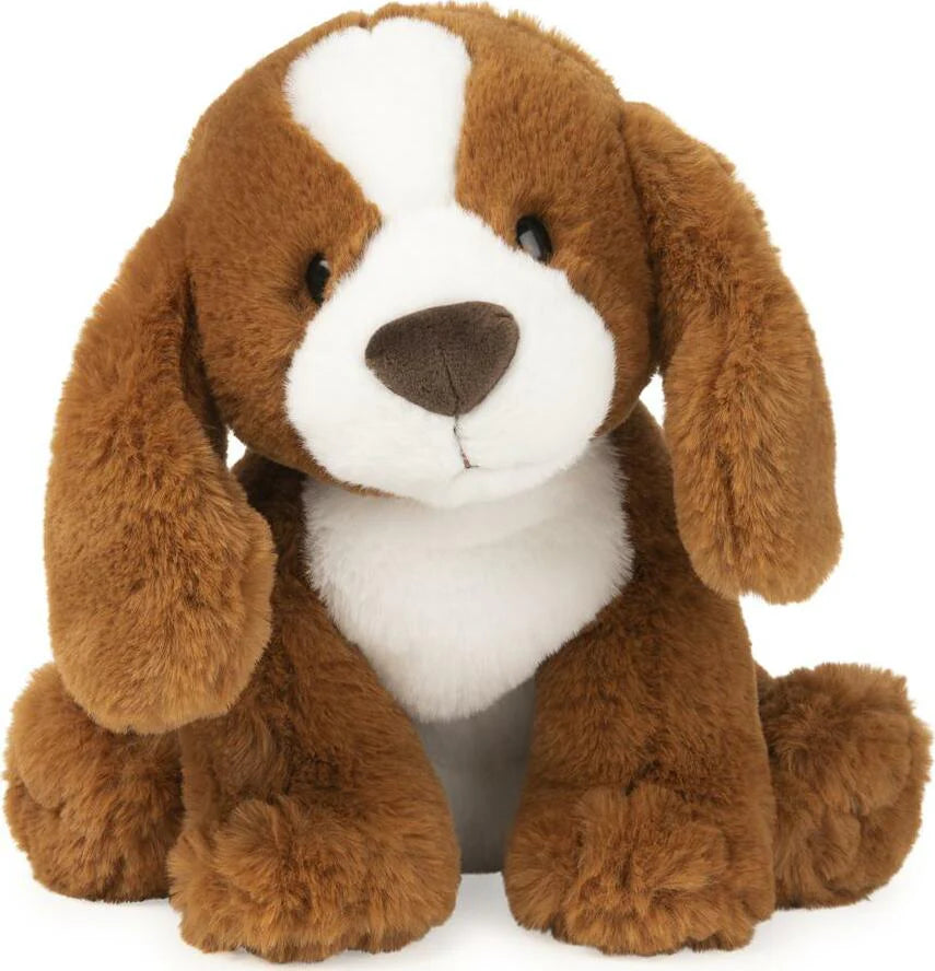 Kian Spaniel Dog