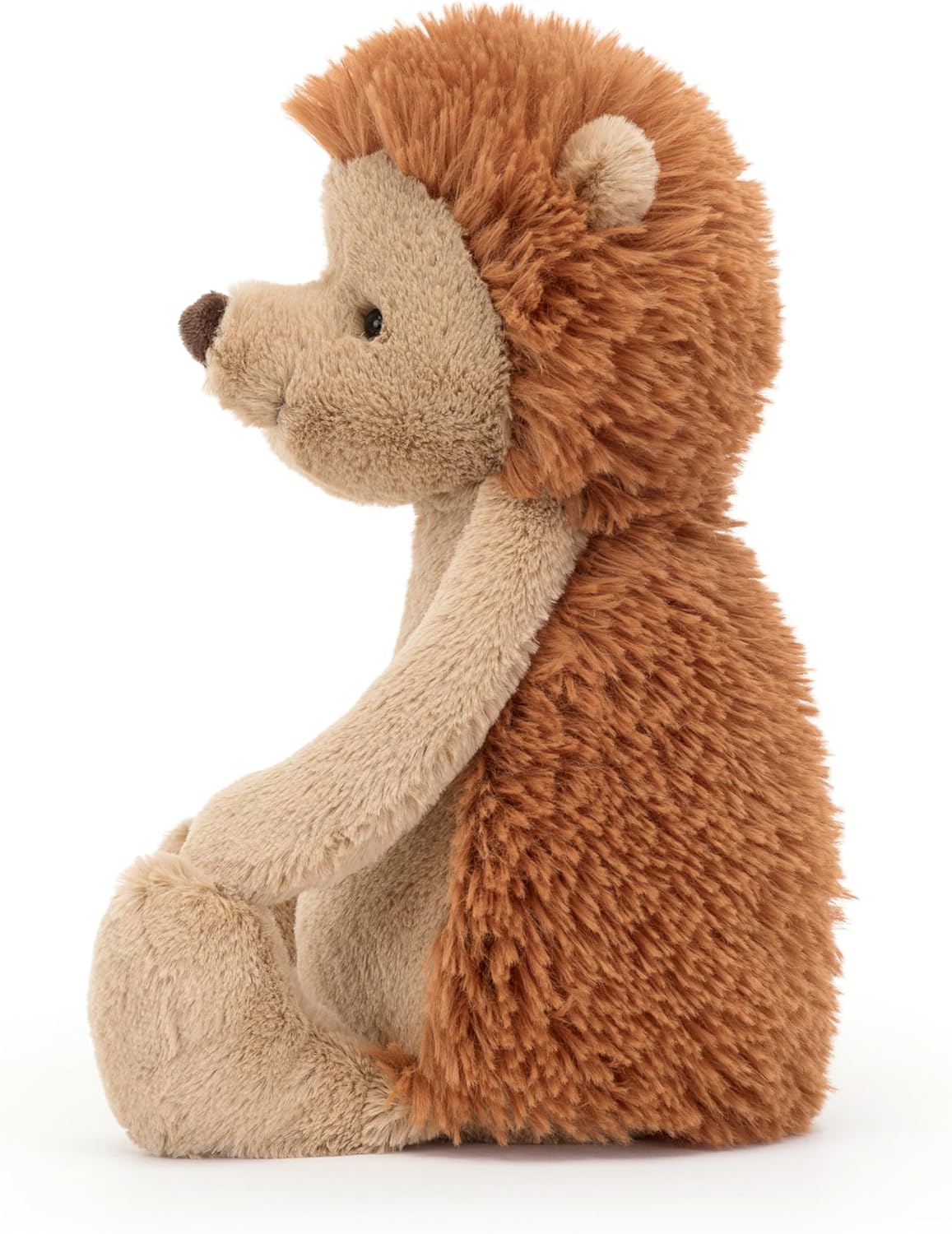 Bashful Hedgehog Original