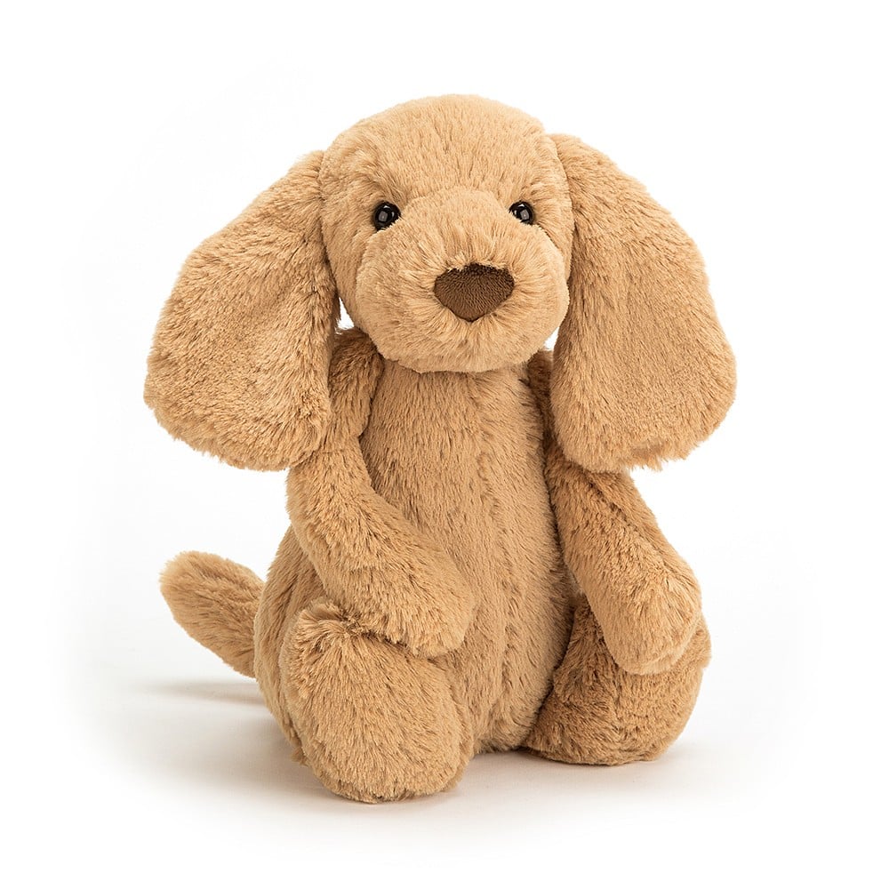Bashful Puppy Toffee Med