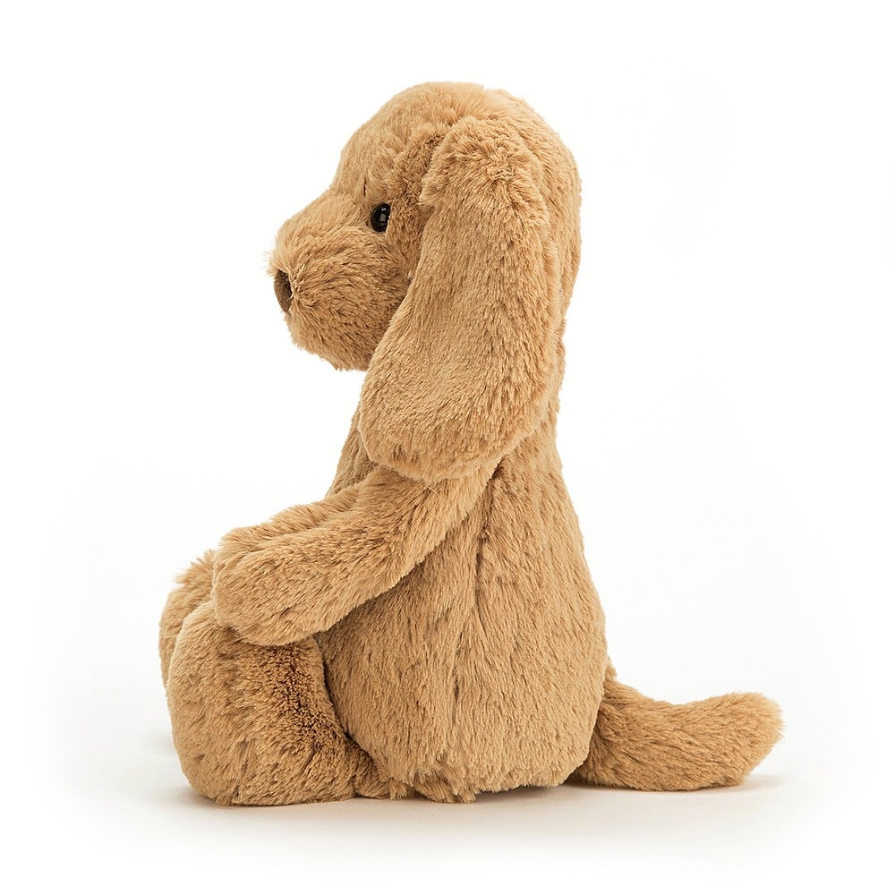 Bashful Puppy Toffee Med