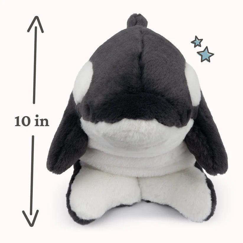 Flynn Orca 10 Inch