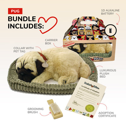 Perfect Petzzz Pug