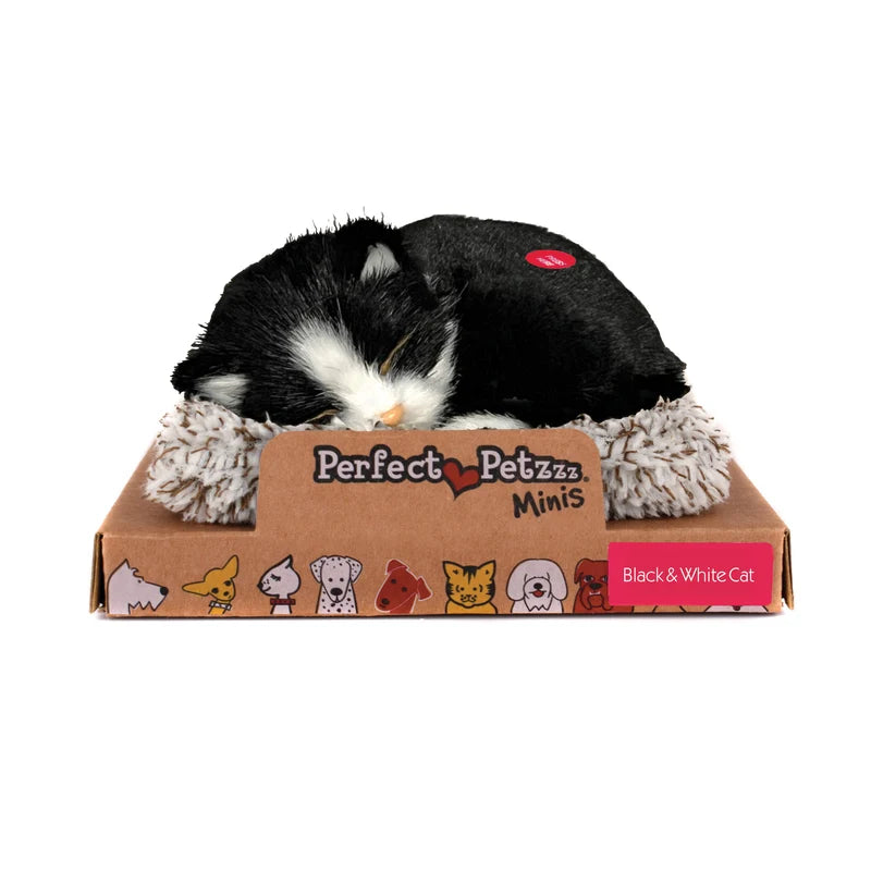 Perfect Petzzz Mini Black And White Shorthair Cat