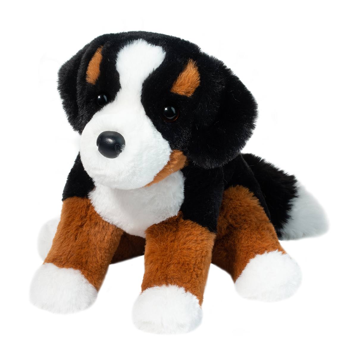 Bowie Dog Bernese Mountain Dog