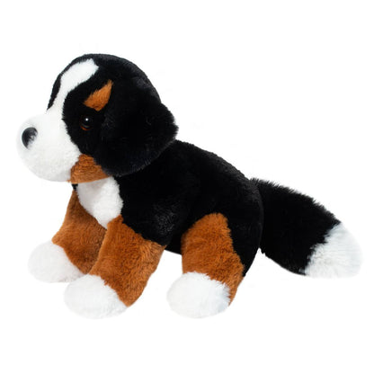 Bowie Dog Bernese Mountain Dog