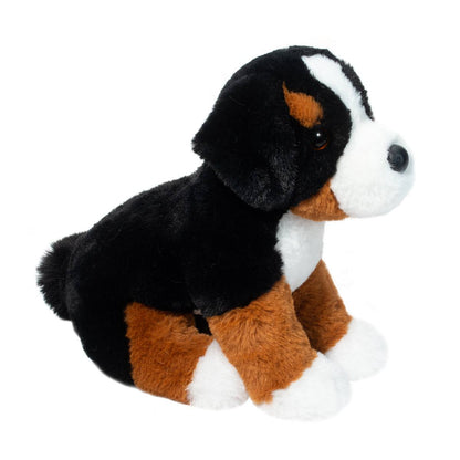Bowie Dog Bernese Mountain Dog