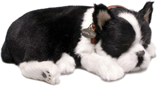 Perfect Petzzz Boston Terrier