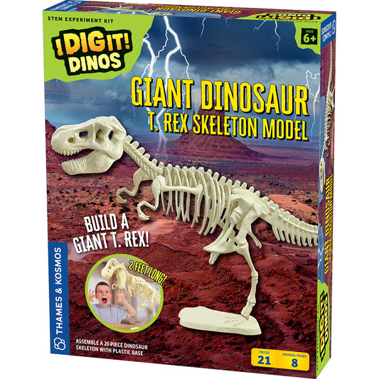 Giant Dinosaur Skeleton