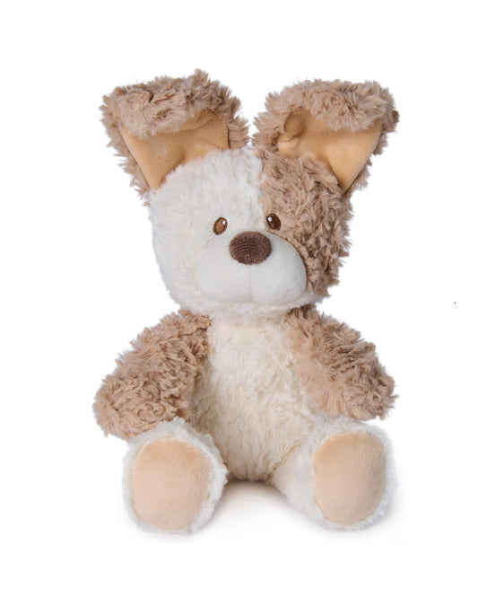 Peekaboo Peeki The Puppy