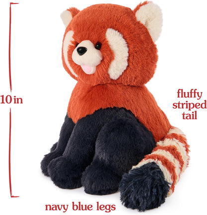 Cedar Red Panda