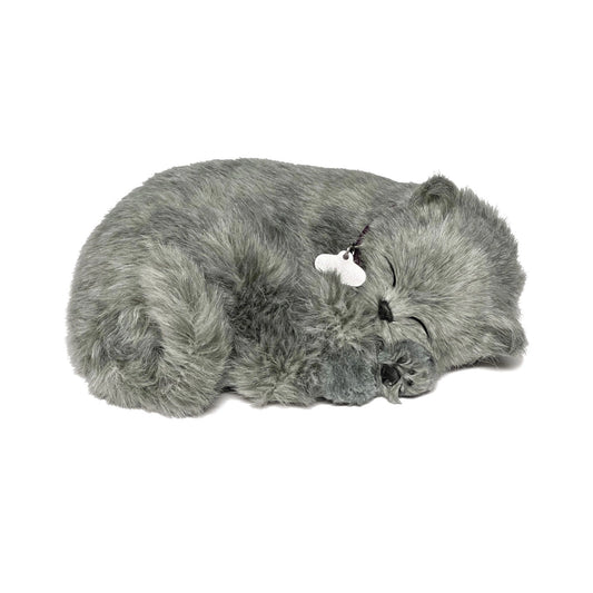 Perfect Petzzz Gray Shorthair Cat