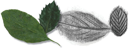Do Art Drawing Sketching