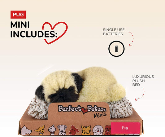 Mini Pug Mini Perfect Pet