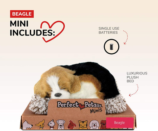 Mini Beagle Mini Prfct Pt