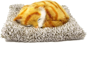 Perfect Petzzz Mini Orange Tabby