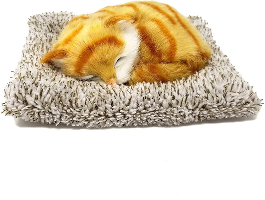 Mini Orange Tabby Pp