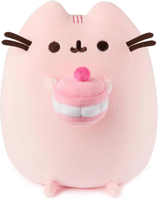 Pusheen with Cherry Macaron