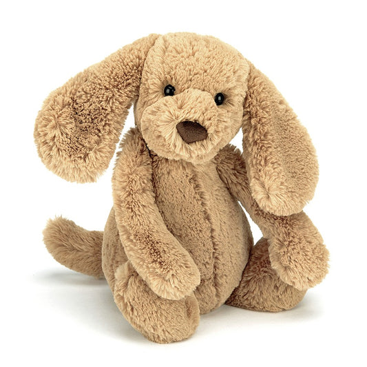 Bashful Puppy Toffee Med