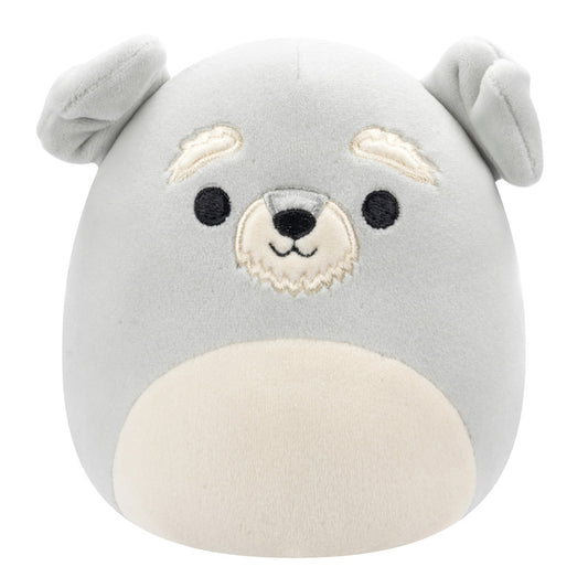 Shaun 12 Grey Schnauzer