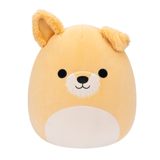 Cooper 8 Tan Dog Whtbelly