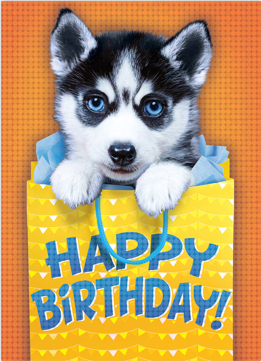 Husky Birthday Foil Card