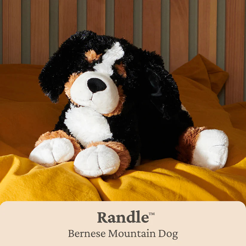 Randle Bernese Mountain Dog
