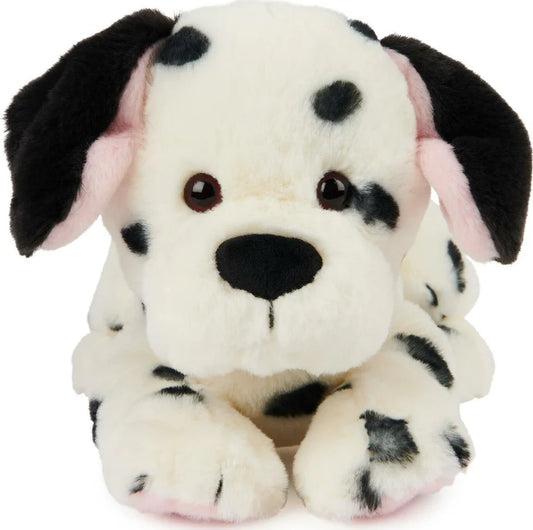 Checkers Dalmatian Dog