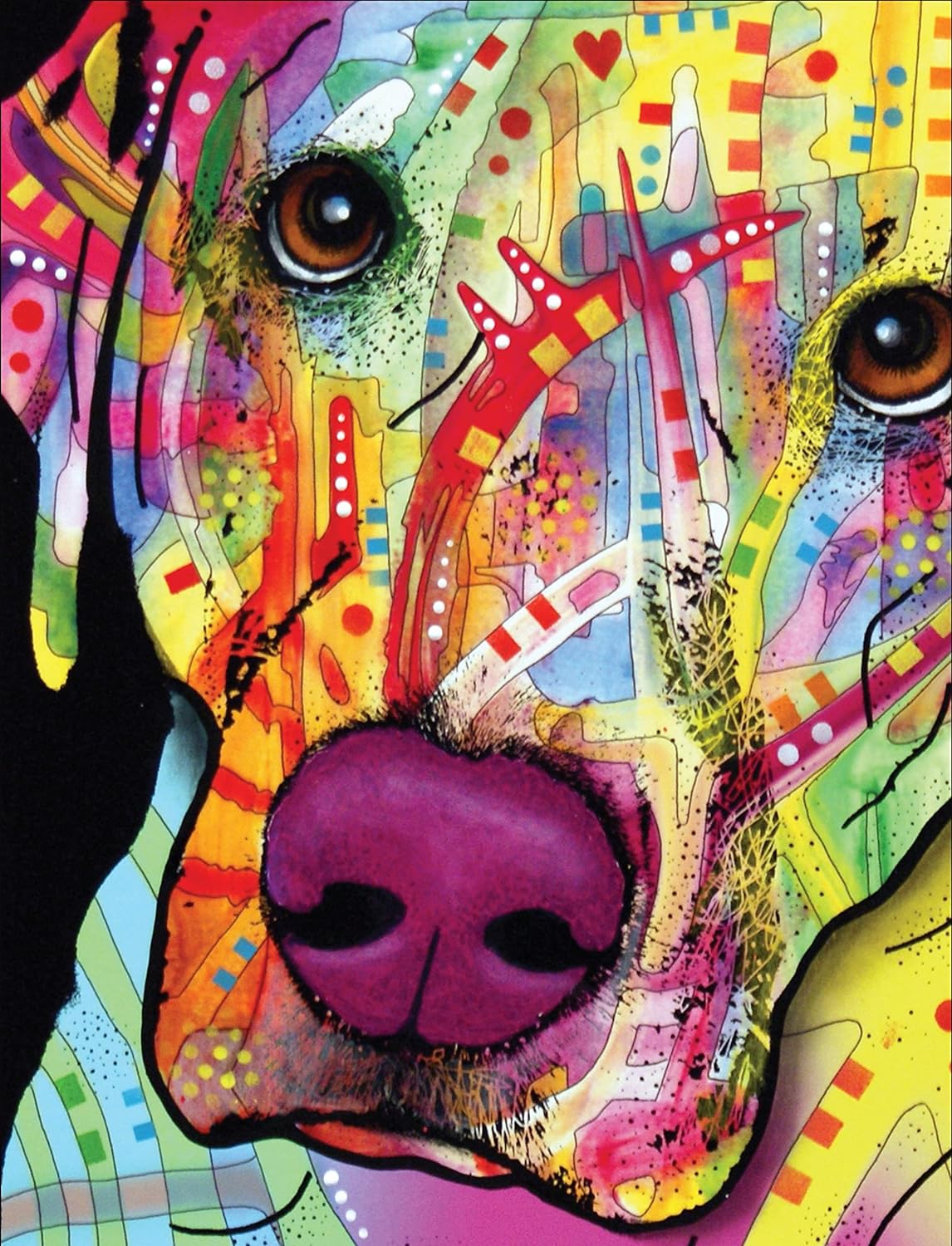 Labrador Journal D Russo