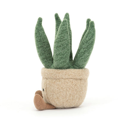 Aloe Vera Small Amuseable