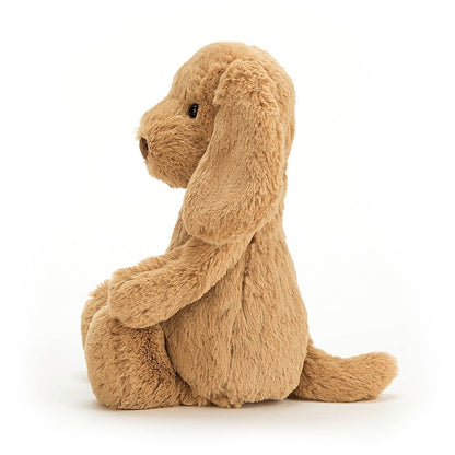 Bashful Puppy Toffee Med