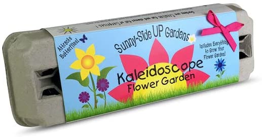 Kaleidoscope Garden