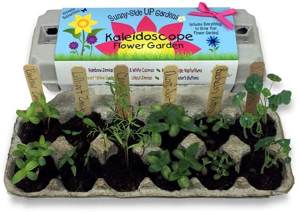 Kaleidoscope Garden