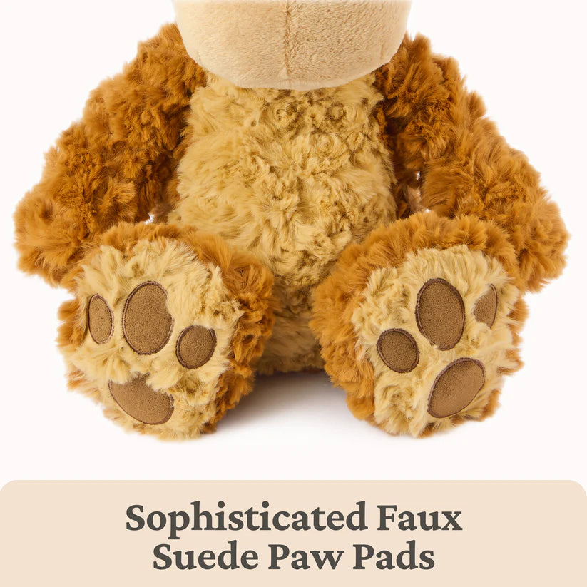 Bexley Bear
