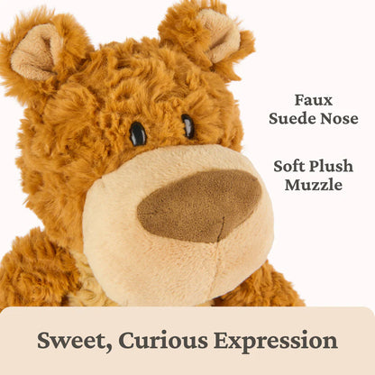 Bexley Bear
